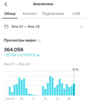 Как заработать в TikTok